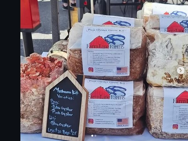 Farm Lane Farms mushroom grow kits