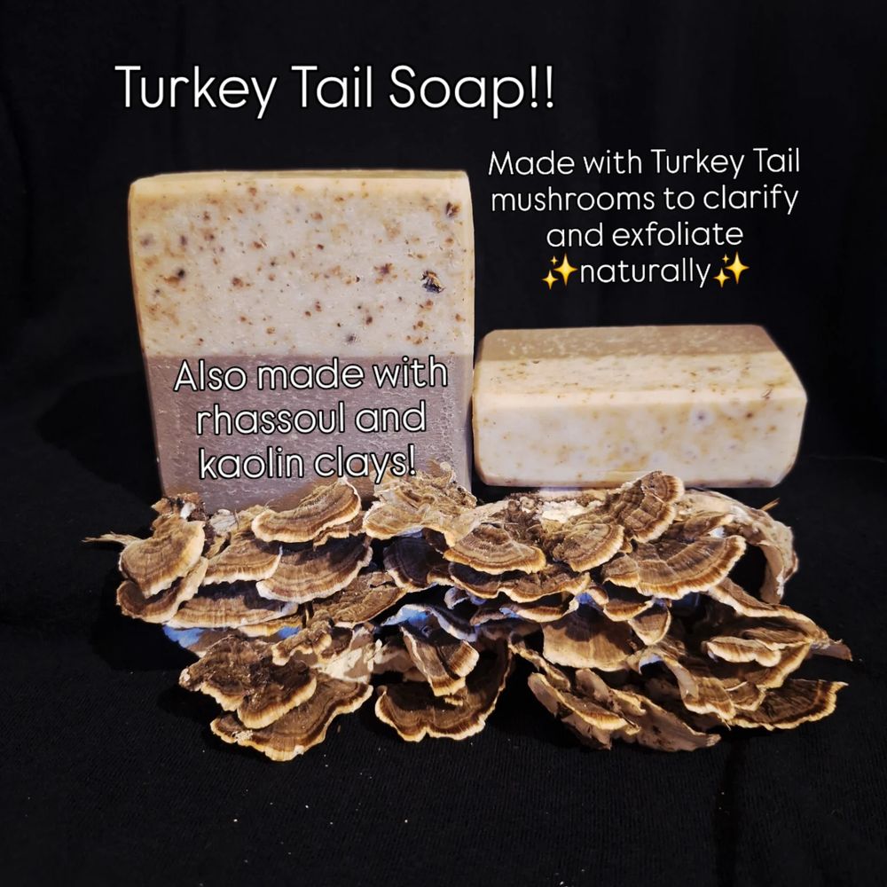 Turkey Tail mushroom soap
